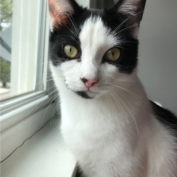 Meet your Posher, Ginny - Picture 7 of 16